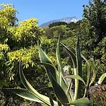 Casa Do Ananas, Cliff-top/ocean-front Villa, Pico فيلة *