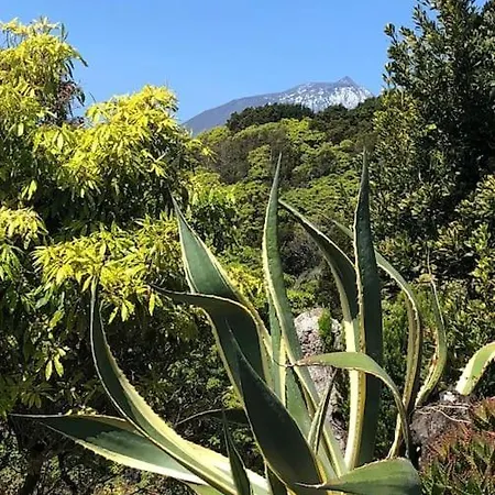 Casa Do Ananas, Cliff-top/ocean-front Villa, Pico Villa *