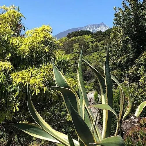 Casa Do Ananas, Cliff-top/ocean-front Villa, Pico Villa *